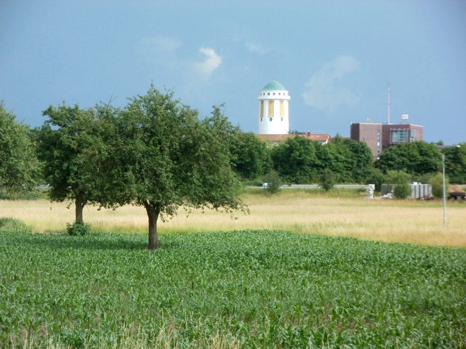 20120611Hockenheimer_Rheinbogen2