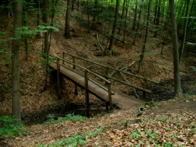 20120605Stadtwald_St_Johann3