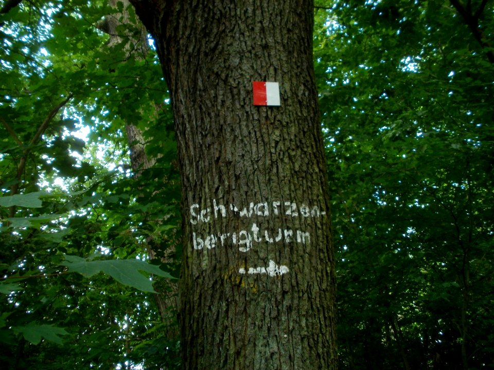 20120605Stadtwald_St_Johann1