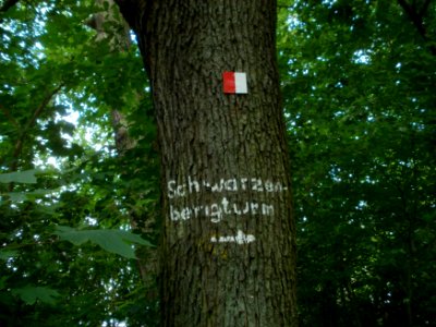 20120605Stadtwald_St_Johann1