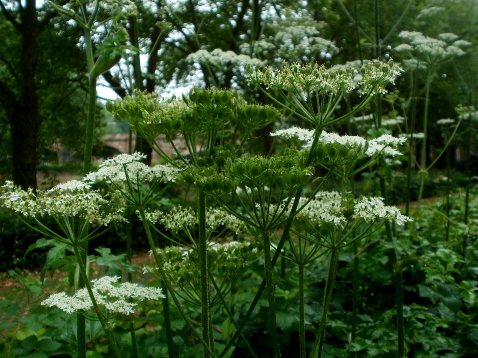 20120619Staden_Saarbruecken1