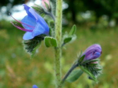 20120616Floersheimer_Warte02