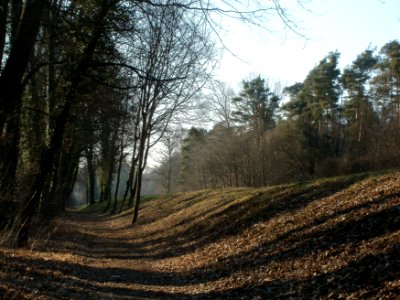 20120315Hardtgraben1