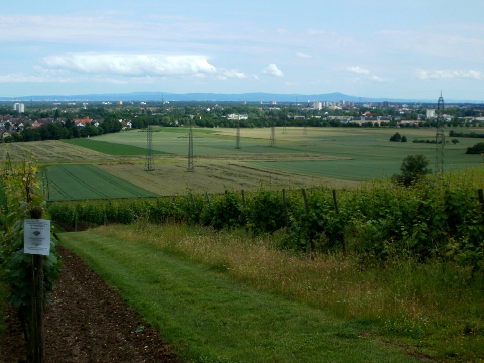 20120616Floersheimer_Warte03