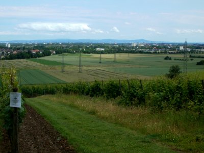 20120616Floersheimer_Warte03