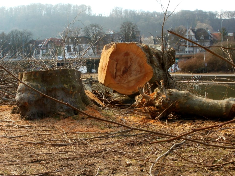 20120226Staden_Saarbruecken1