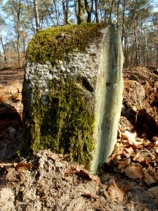 20120315Grenzstein_Hoher_Stein16