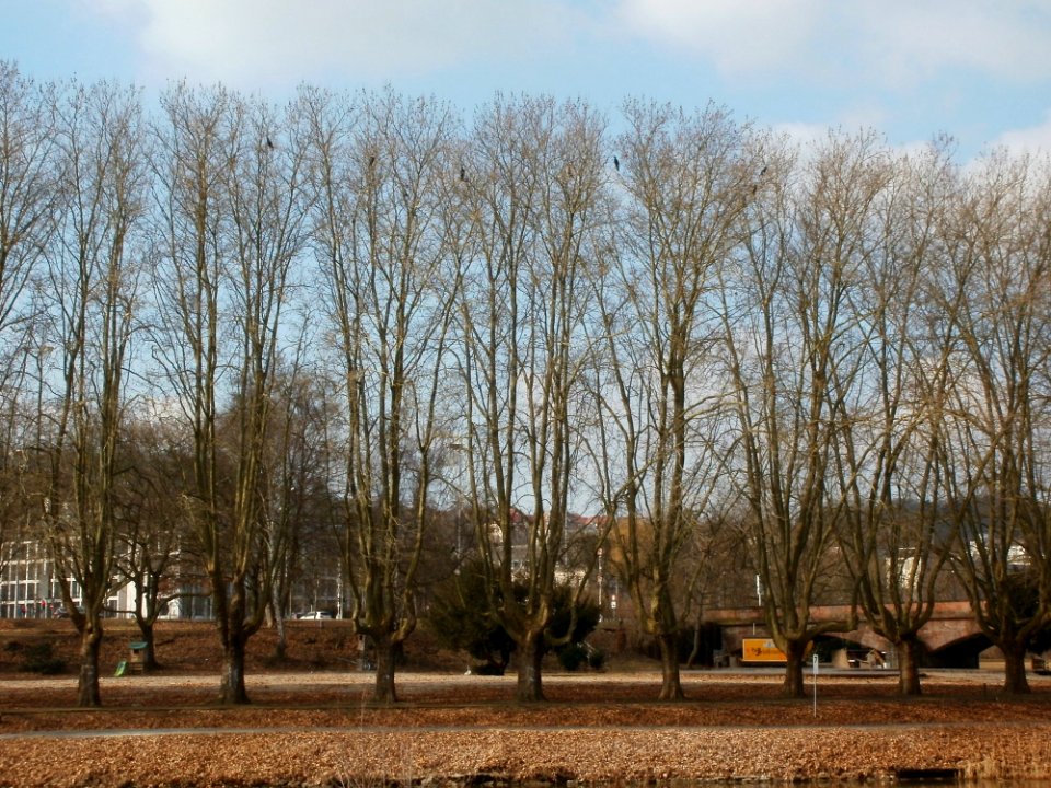 20120226Bismarckanlage_Saarbruecken1