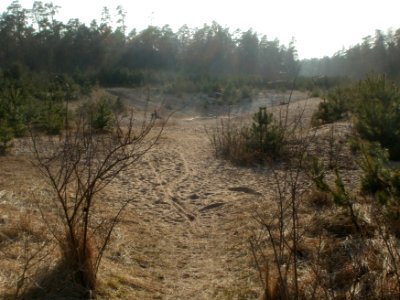 20120316Wasserloch_Hockenheimring
