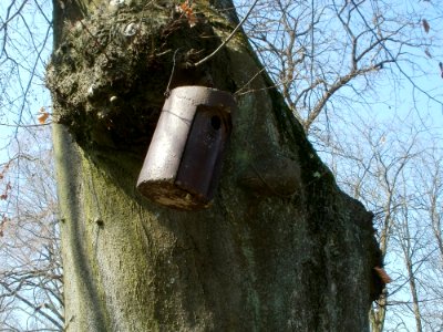 20120323Friedhof_St_Johann6