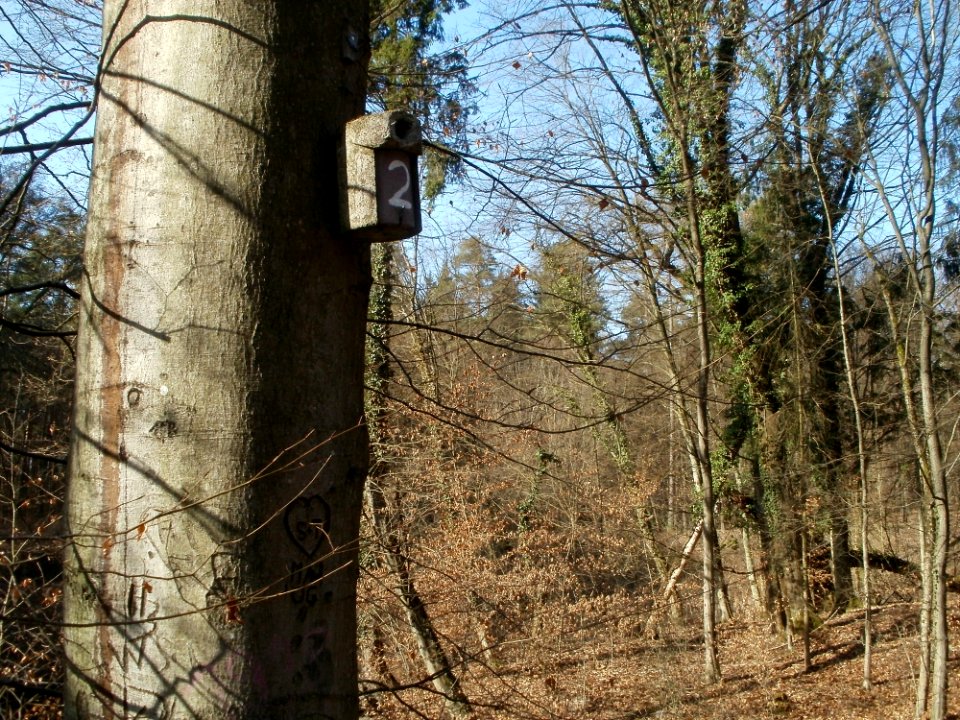 20120316Wasserloch_Hockenheim13