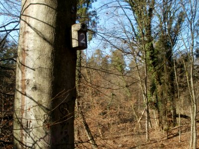 20120316Wasserloch_Hockenheim13