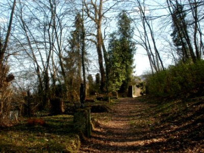 20120324Soldatenfriedhof_Spicherer_Berg01