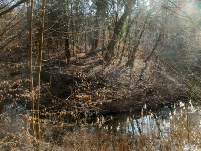 20120316Wasserloch_Hockenheim06