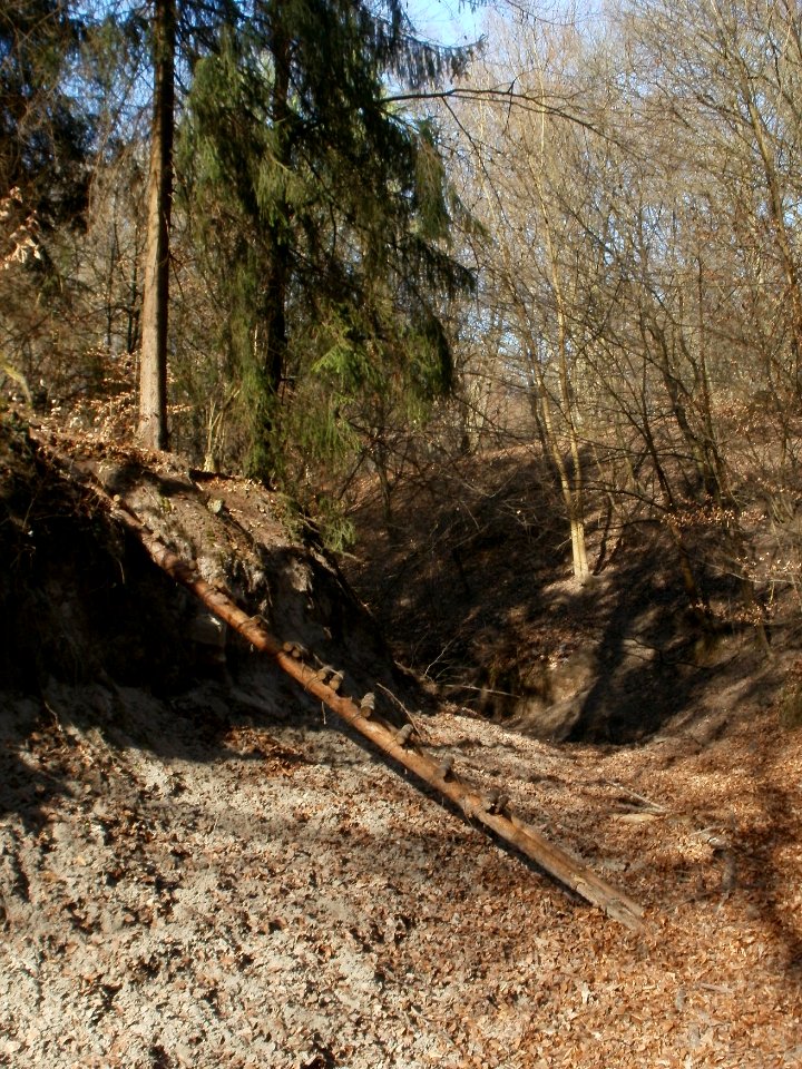 20120316Wasserloch_Hockenheim08
