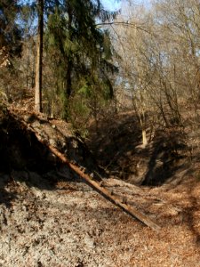 20120316Wasserloch_Hockenheim08