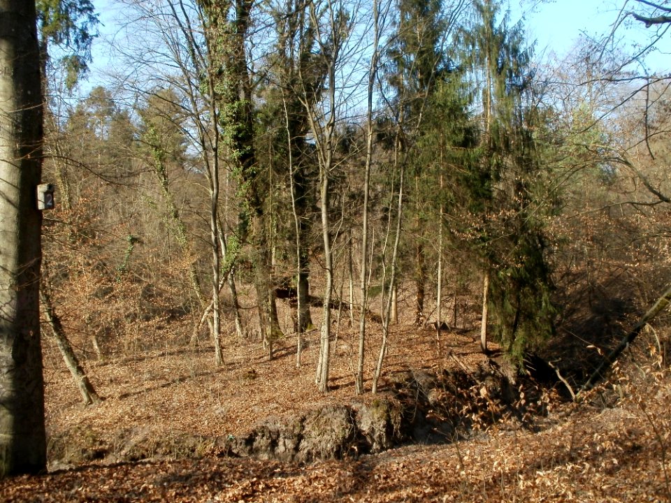 20120316Wasserloch_Hockenheim12