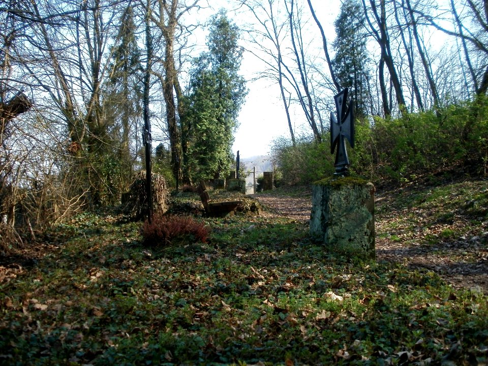 20120324Soldatenfriedhof_Spicherer_Berg03