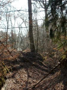 20120316Wasserloch_Hockenheim07