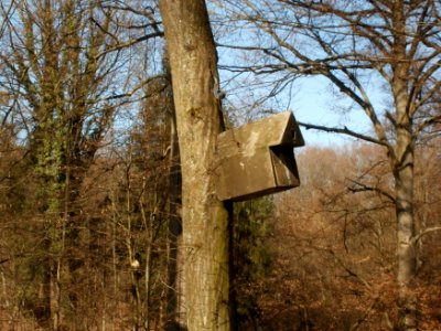20120316Wasserloch_Hockenheim14