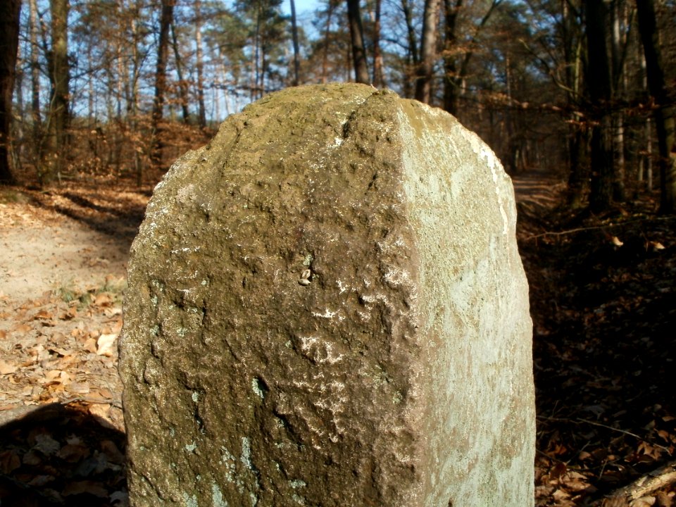 20120315Grenzstein_Hoher_Stein09