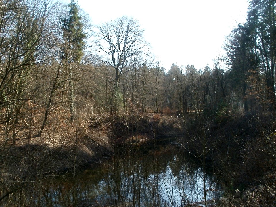 20120316Wasserloch_Hockenheim01