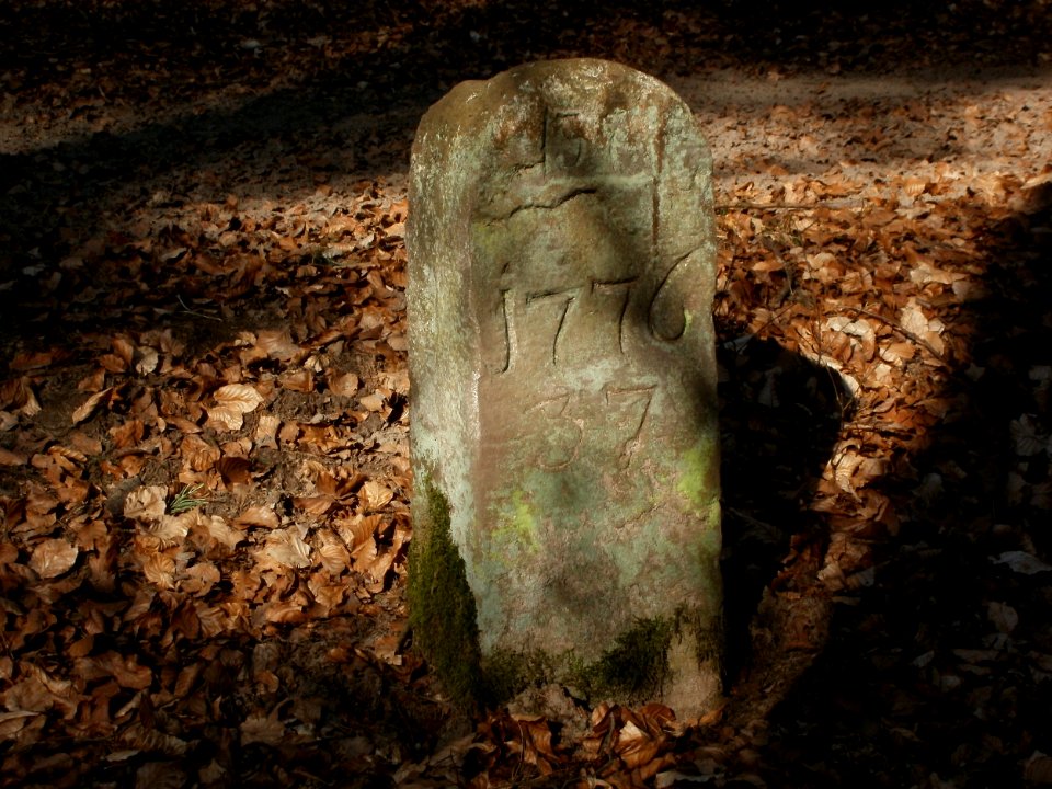 20120315Grenzstein_Hoher_Stein03