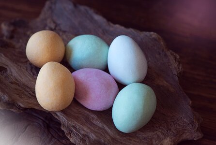 Chocolate eggs colorful color photo