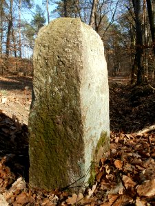 20120315Grenzstein_Hoher_Stein08
