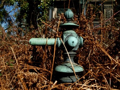 20120309Friedhof_St_Johann09