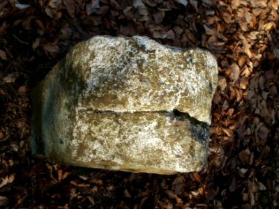 20120315Grenzstein_Hoher_Stein10