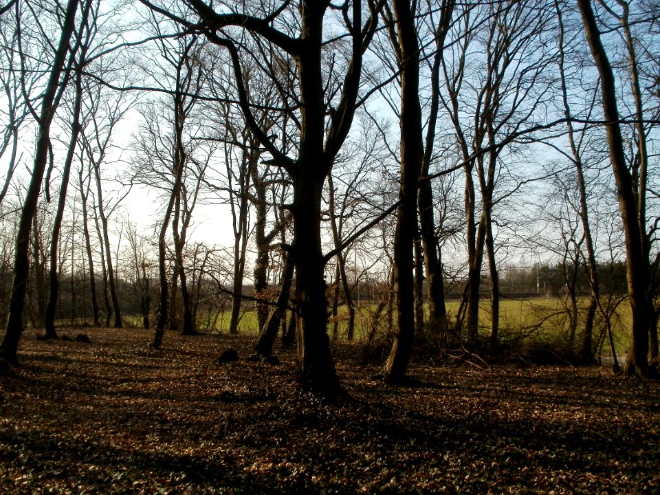 20120314Untere_Lusshart2