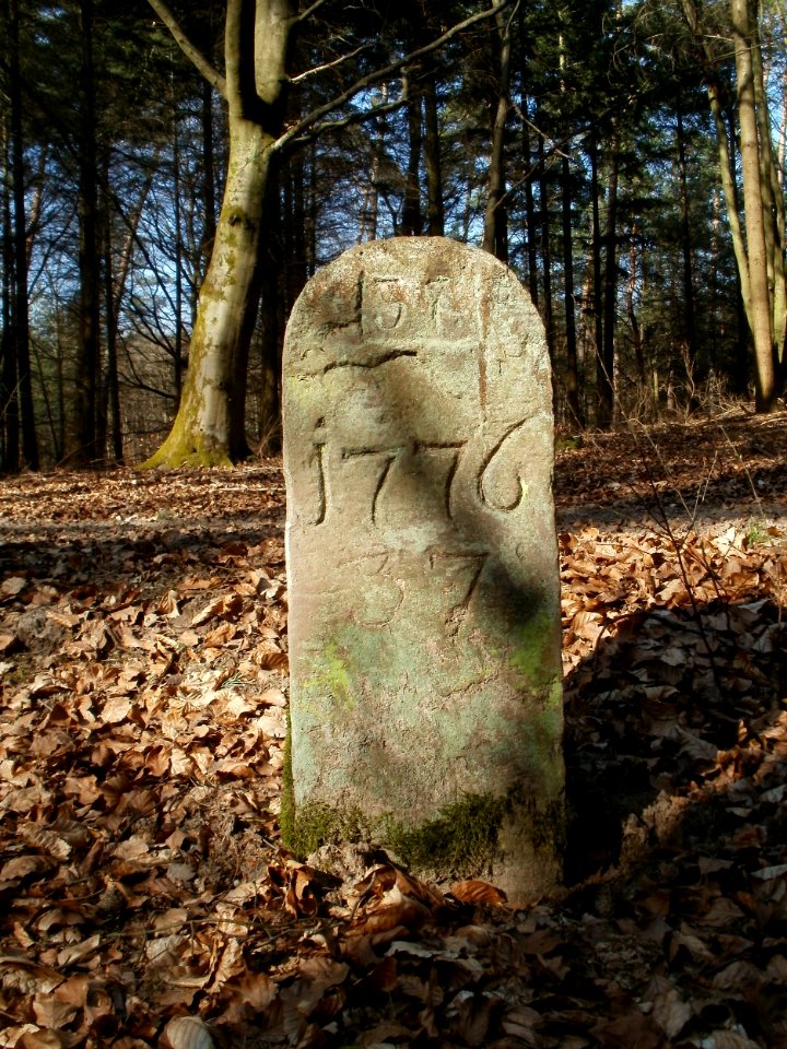 20120315Grenzstein_Hoher_Stein01
