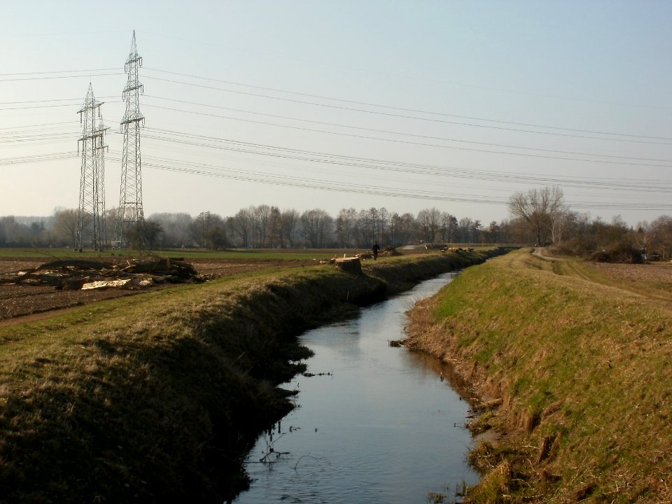 20120314Radikahlschlag07