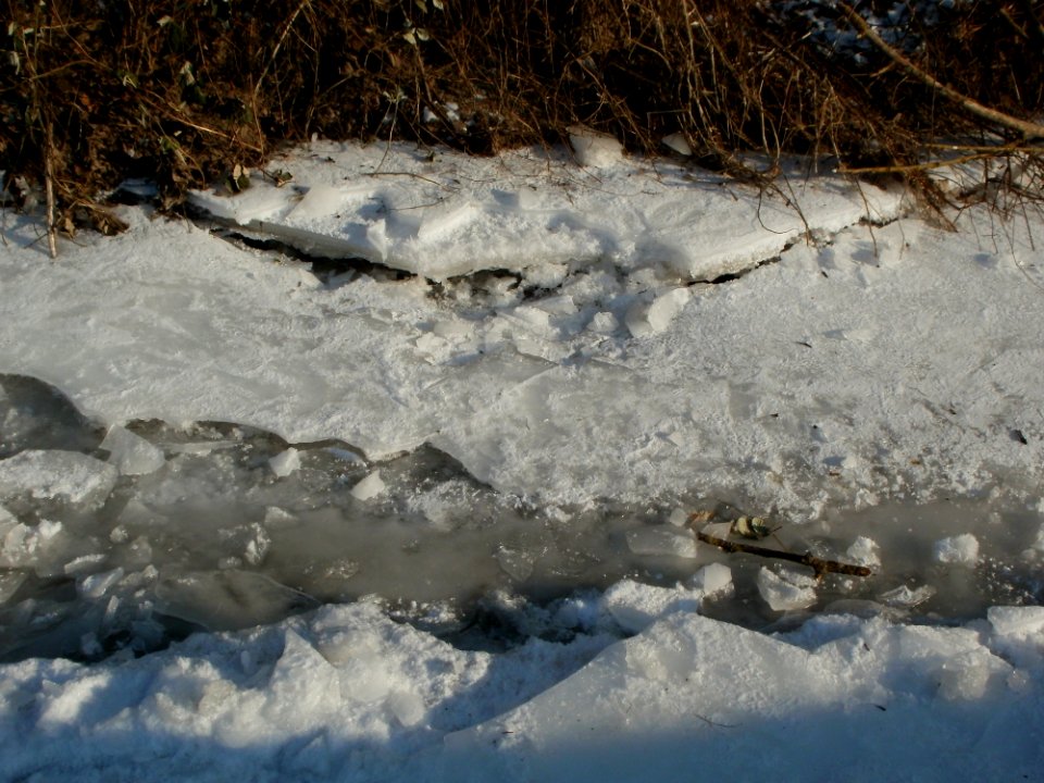 20120212Kriegbach02