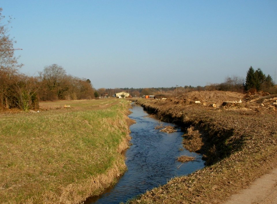 20120314Radikahlschlag06