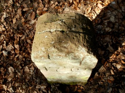 20120315Grenzstein_Hoher_Stein04