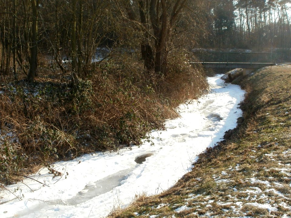 20120212Kriegbach03
