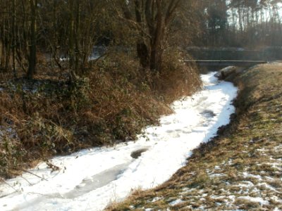 20120212Kriegbach03