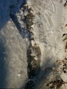 20120212Kriegbach05