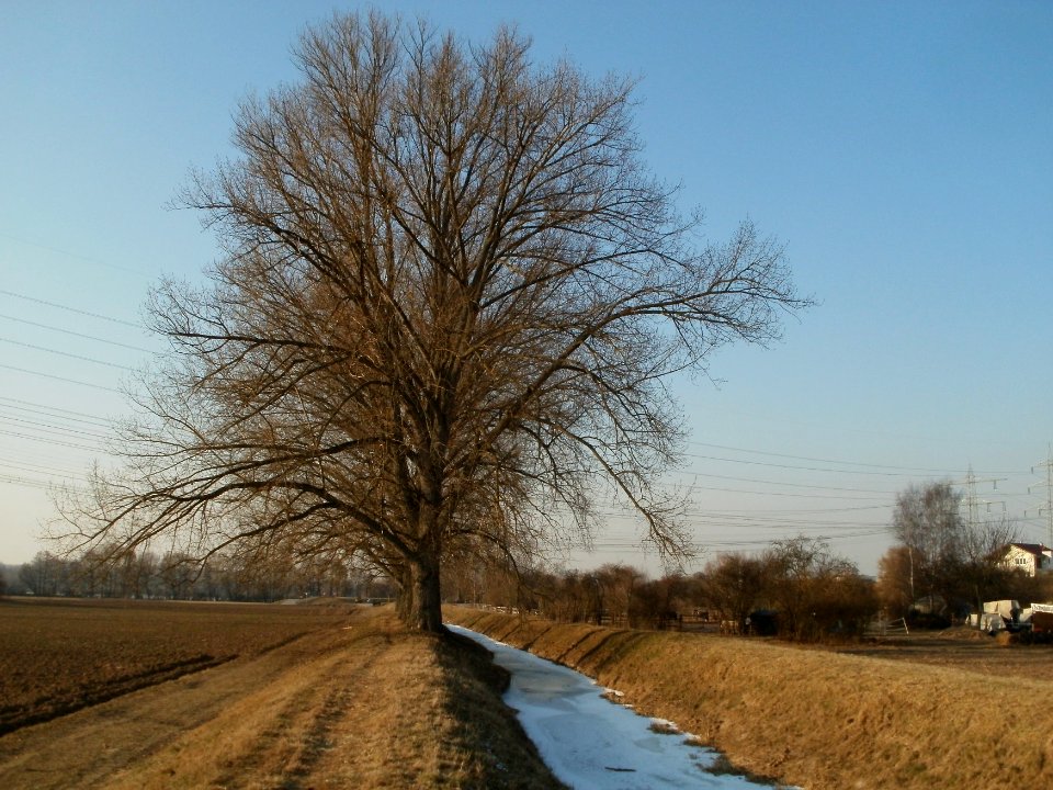 20120212Kriegbach11