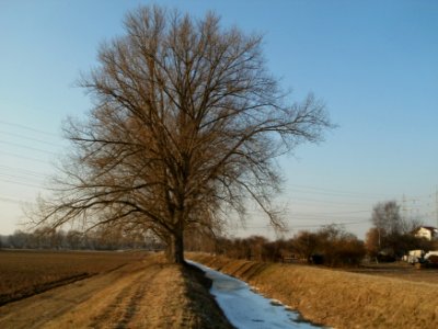 20120212Kriegbach11