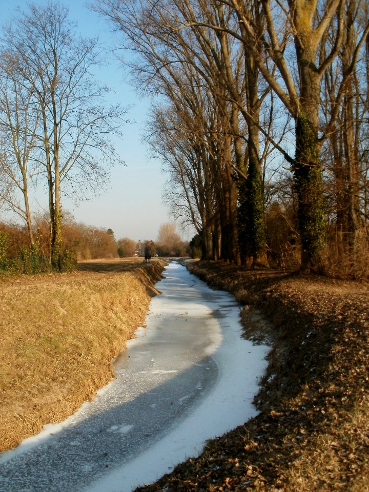 20120212Kriegbach06