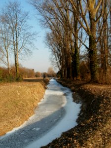 20120212Kriegbach06