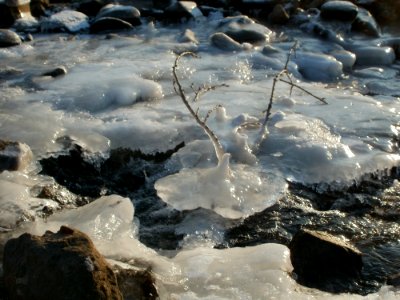 20120212Kriegbachmuendung09