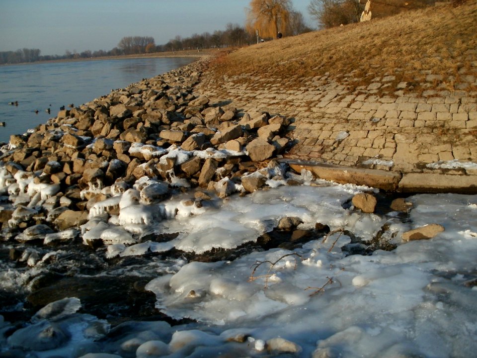 20120212Kriegbachmuendung03