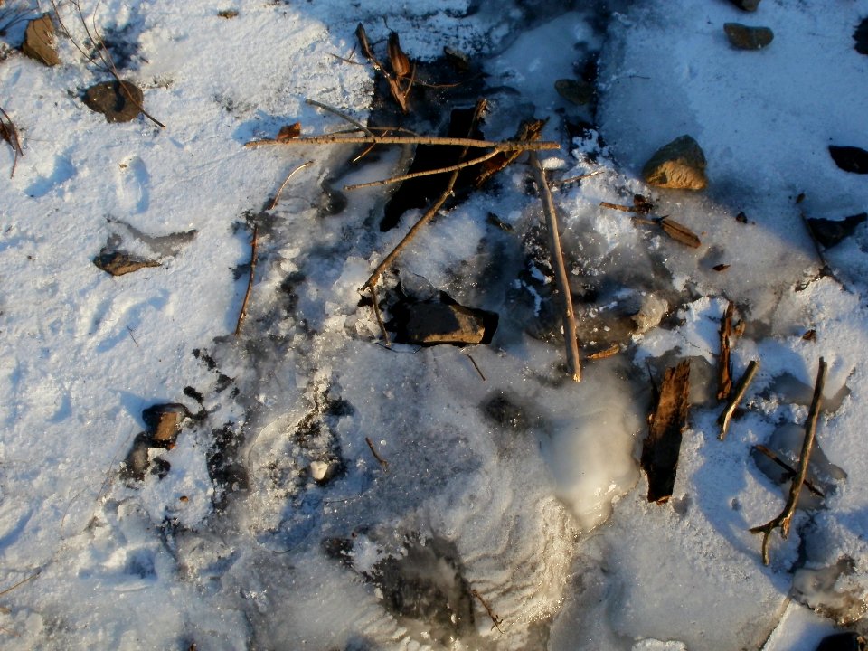 20120212Kriegbachmuendung13