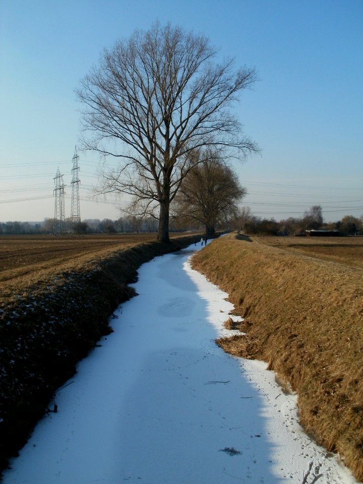 20120212Kriegbach09