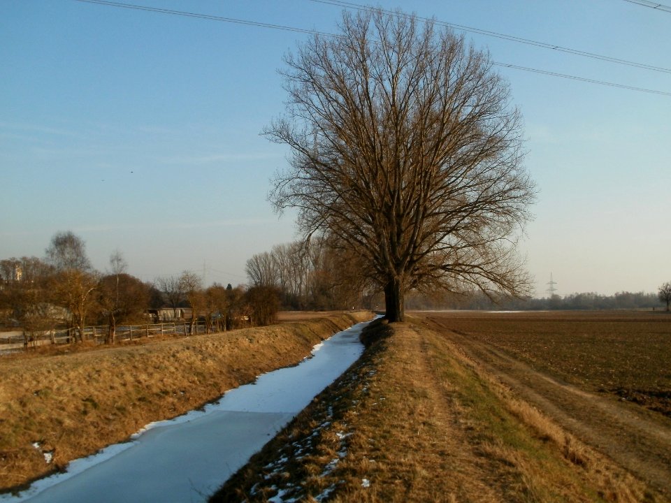 20120212Kriegbach12