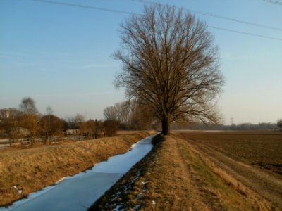20120212Kriegbach12